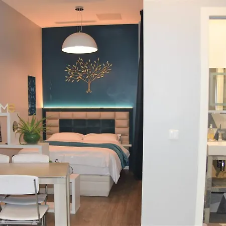 In Trocadero Nice Flat Near Eiffel Tower Holiday home Paris